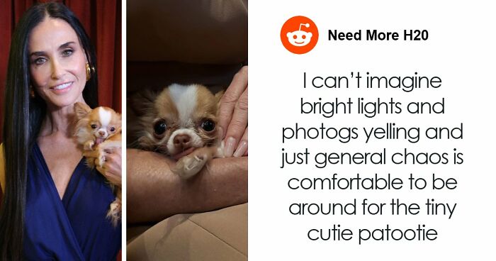 The 10 Most Awkward Celebrity Moments In Oscars History That Turned Into Pure Secondhand Embarrassment