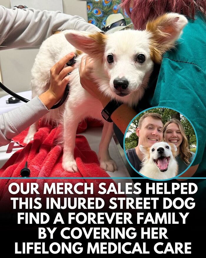 This Instagram Page Shares Incredible Dog Stories That Prove Dogs Truly Make The World A Better Place (50 Pics)