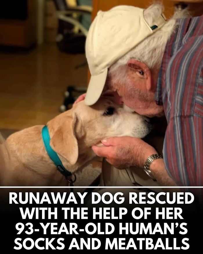 This Instagram Page Shares Incredible Dog Stories That Prove Dogs Truly Make The World A Better Place (50 Pics)