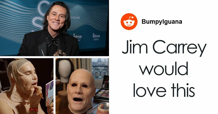 Woman Refuses To Dogsit Her Brother’s Elderly Dog, Gets Shocked When He Declines To Babysit Her Kids