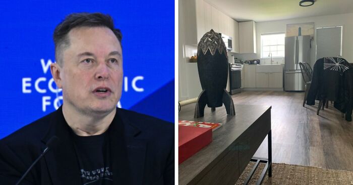 77 Good News For Those Who Gave Up On The World