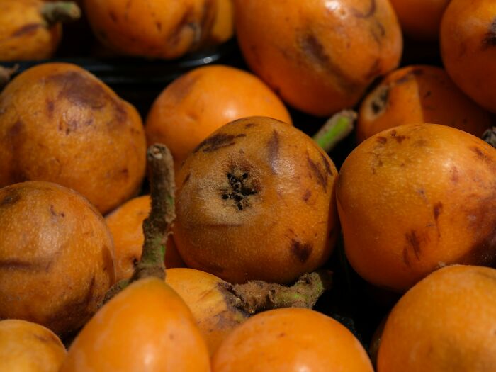 Close-up of orange tropical fruit with brown spots, highlighting cultural things people thought normal until visiting other countries.