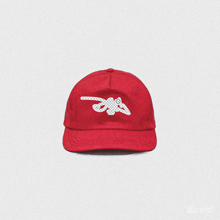 Eraser Hat