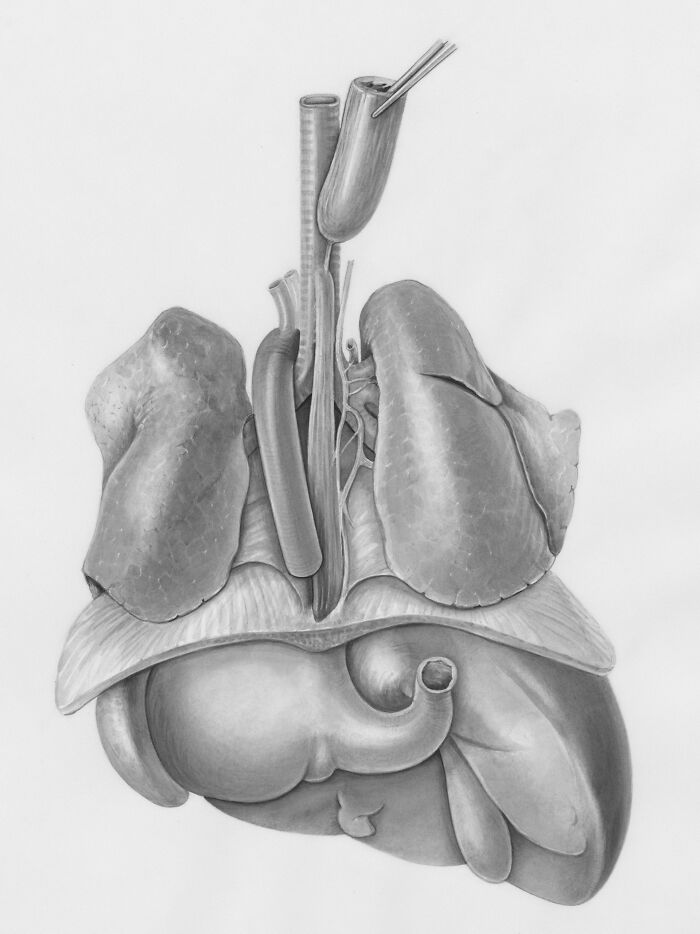 Person wearing a pink top and white shirt holding their stomach, illustrating interesting scientific facts to blow your mind today.