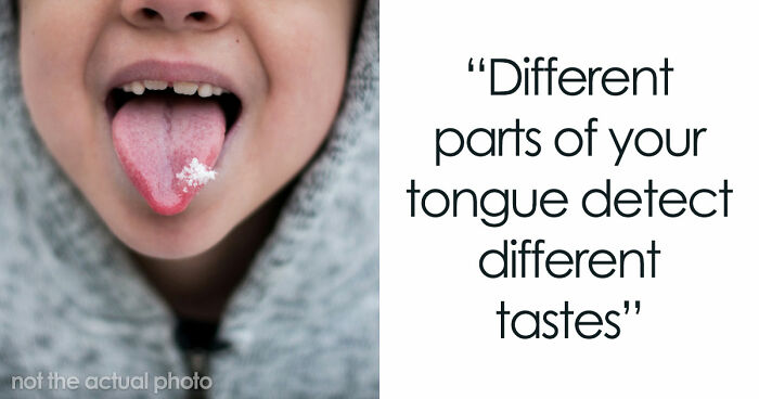 51 Widely Believed “Facts” That Aren’t True At All