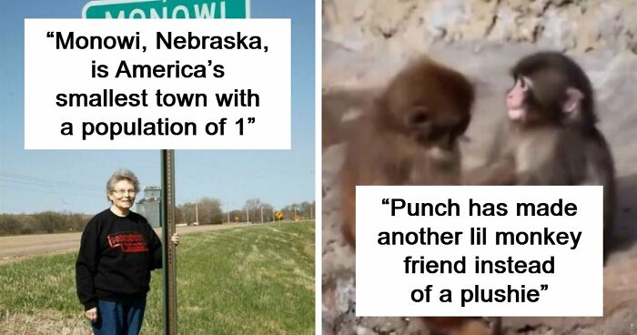 “Interesting Vault”: 47 Interesting, Bizarre And Cool Stories And Oddities From Our World