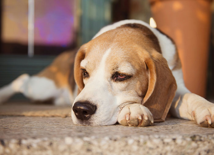 41 Times People Changed How They View Their Relatives Due To A Secret Or Witnessing A Private Moment