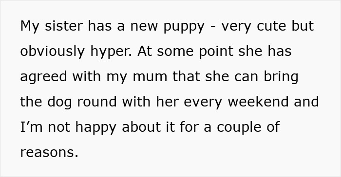 Irresponsible Aunt Chooses Untrained Dog Over Hurt Nephew After A Bite, Sparks Massive Family Feud