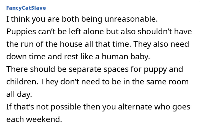 Irresponsible Aunt Chooses Untrained Dog Over Hurt Nephew After A Bite, Sparks Massive Family Feud