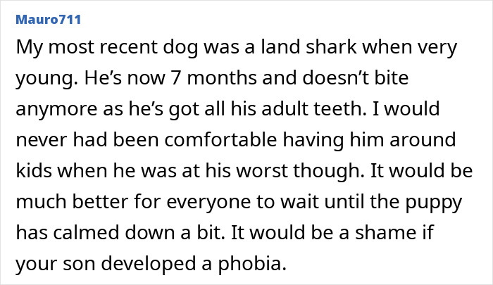 Irresponsible Aunt Chooses Untrained Dog Over Hurt Nephew After A Bite, Sparks Massive Family Feud