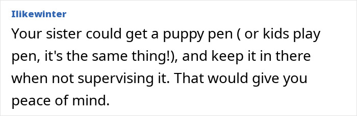 Irresponsible Aunt Chooses Untrained Dog Over Hurt Nephew After A Bite, Sparks Massive Family Feud
