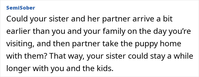 Irresponsible Aunt Chooses Untrained Dog Over Hurt Nephew After A Bite, Sparks Massive Family Feud