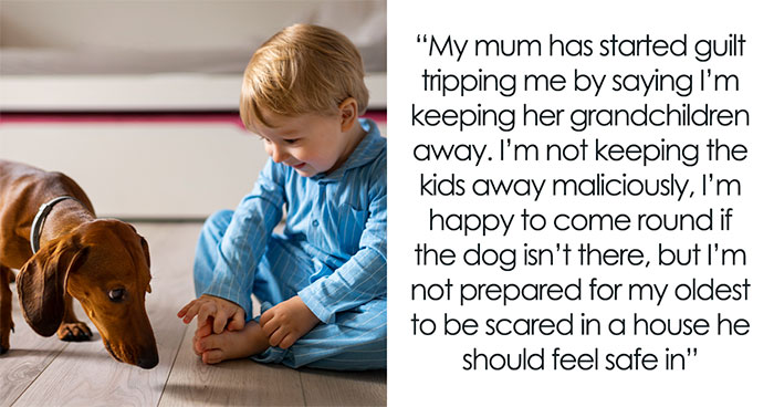 Woman Skips Weekly Dinners Because Of Sis’ Chaotic Dog, Parents Say She’s Keeping Grandkids Away