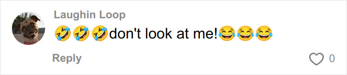 Linda Cardellini fala sobre experiência ‘estranha’ e ‘assustadora’ ao filmar cena íntima com Jason Bateman Linda Cardellini fala sobre experiência ‘estranha’ e ‘assustadora’ ao filmar cena íntima com Jason Bateman