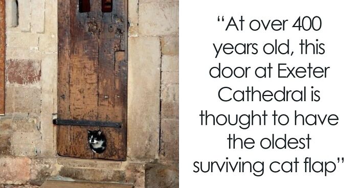 This Group Is Dedicated To Interesting Historical Items, Here Are The 77 Best Ones