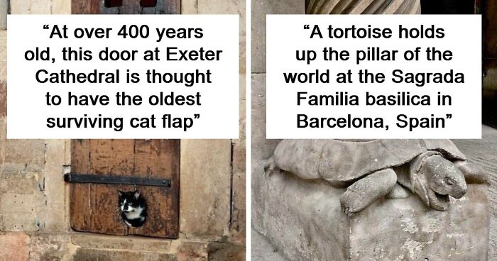 This Group Is Dedicated To Interesting Historical Items, Here Are The 77 Best Ones