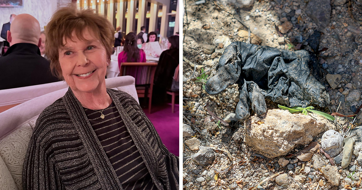 Nancy Guthrie Case Takes Stunning Turn As Gloves Traced To Local Restaurant Worker | Bored Panda