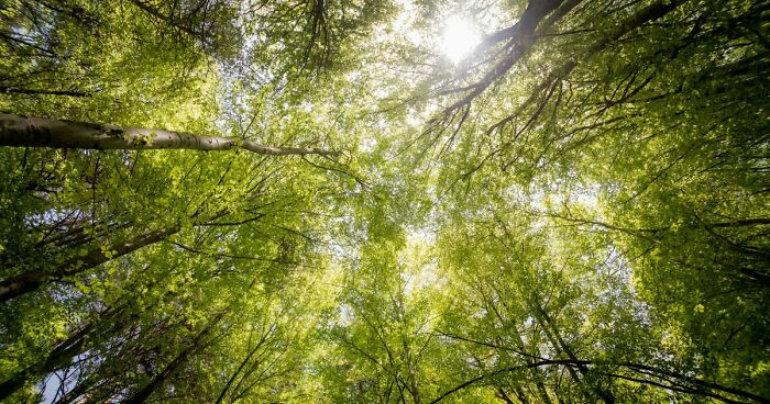 From Iran To Guatemala: Try This ‘Guess The Country From Just A Few Clues’ Quiz