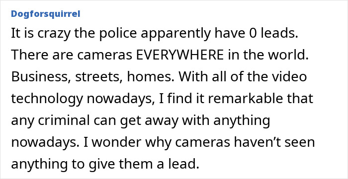 Comment discussing the lack of police leads in the Nancy Guthrie case despite widespread camera coverage and video technology.