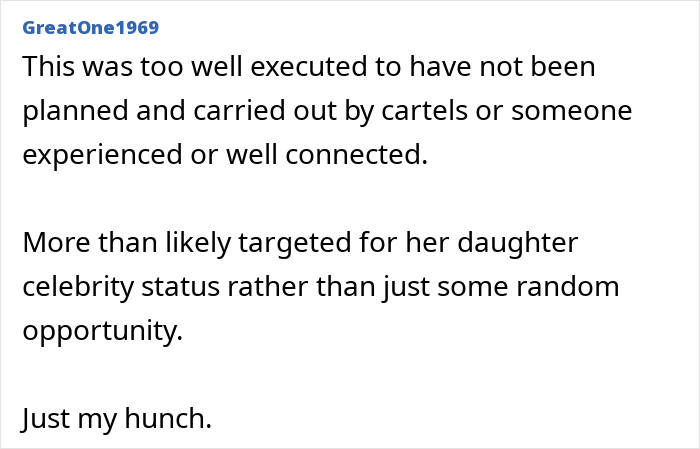 User comment suggesting the Nancy Guthrie case was planned by cartels or connected individuals, FBI analysis theories