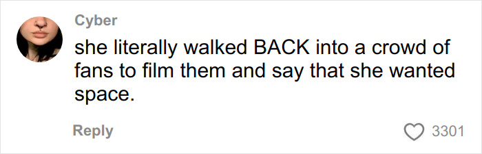 Comment on social media discussing Chappell Roan's paparazzi tactic and its impact on gender and privacy debates.
