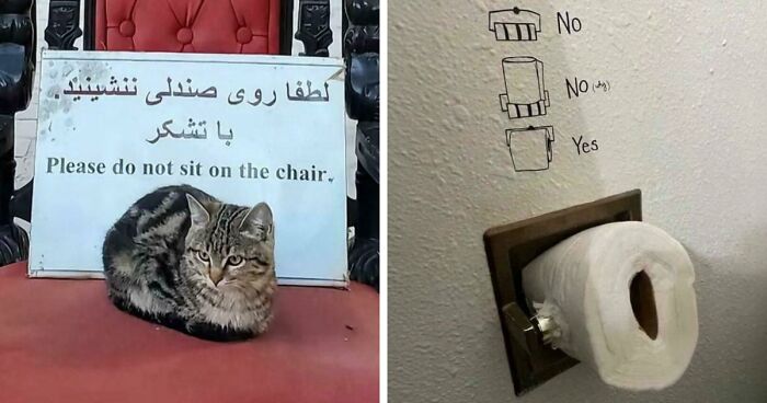 “Your Laws Can’t Contain Me”: 67 Times First-World Anarchists Broke The Rules Just For Fun (New Pics)