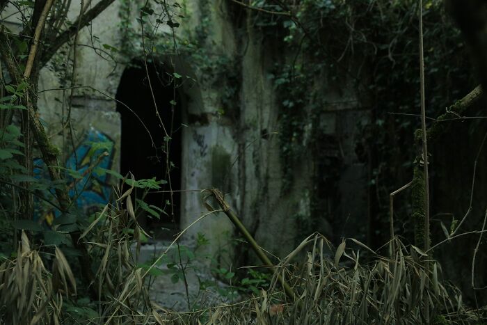 Overgrown abandoned building entrance with dark doorway, evoking terrifying moments urban explorers feared inside.