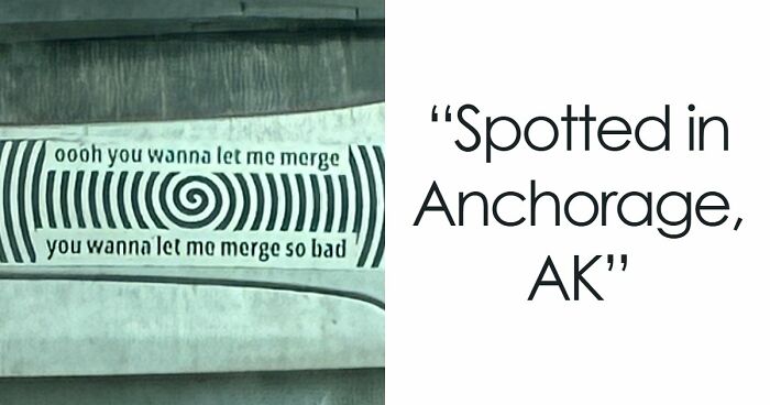 55 Times People Spotted The Most Hilarious And Unhinged Bumper Stickers Ever (New Pics)