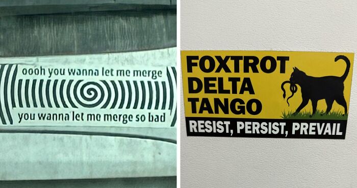 55 Times People Spotted The Most Hilarious And Unhinged Bumper Stickers Ever (New Pics)