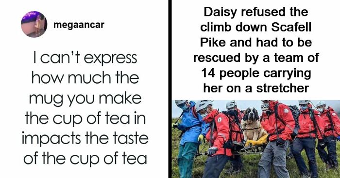 93 Memes For Those Who Love British Humor