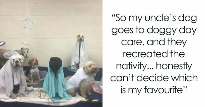 93 Memes For Those Who Love British Humor