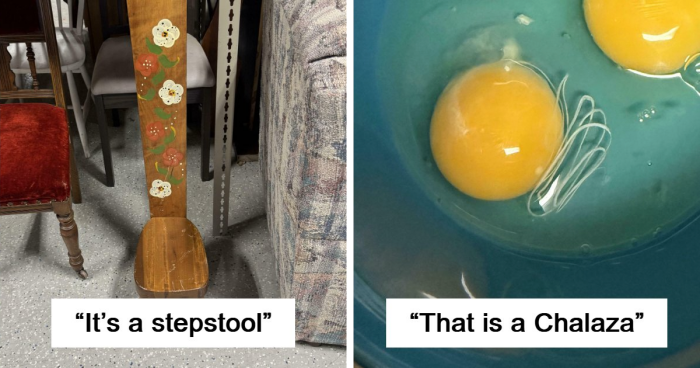 75 Times People Were Confused By What They Saw, So They Turned To The “What?” Online Group