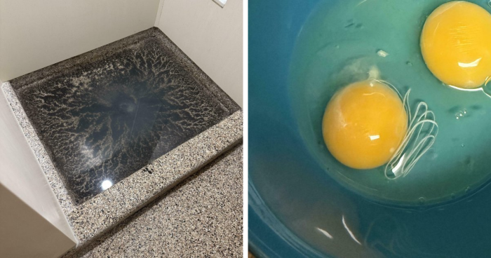 75 Times People Were Confused By What They Saw, So They Turned To The “What?” Online Group