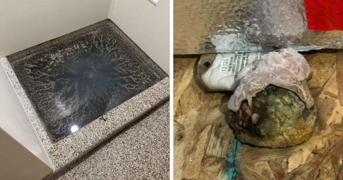 75 Strange Pics That People Just Had To Take As They Were Utterly Confused