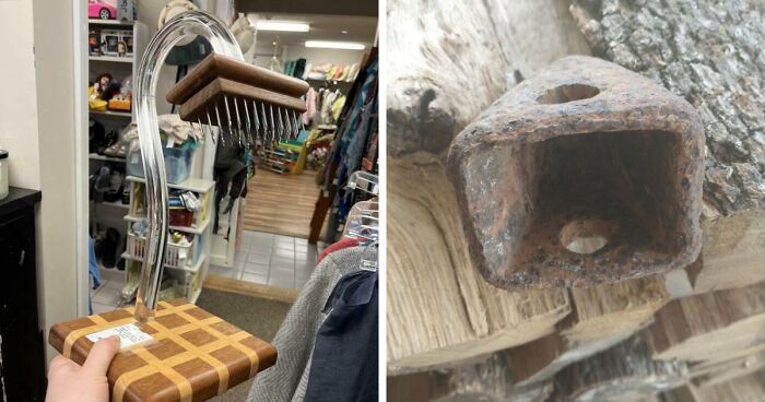 75 Strange Pics That People Just Had To Take As They Were Utterly Confused