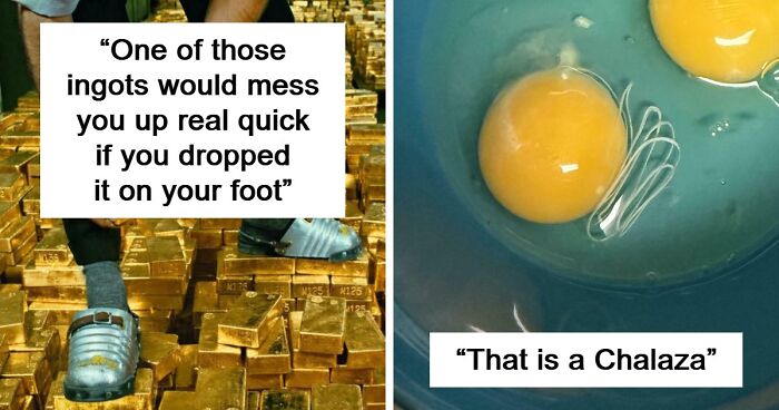75 Strange Pics That People Just Had To Take As They Were Utterly Confused