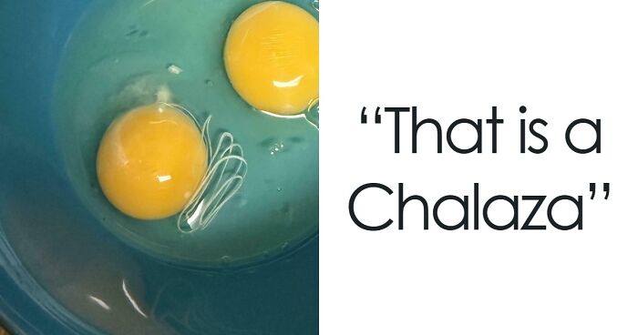 75 Strange Pics That People Just Had To Take As They Were Utterly Confused