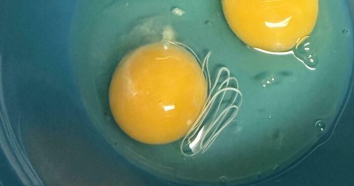 75 Strange Pics That People Just Had To Take As They Were Utterly Confused