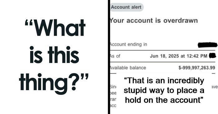 75 Strange Pics That People Just Had To Take As They Were Utterly Confused