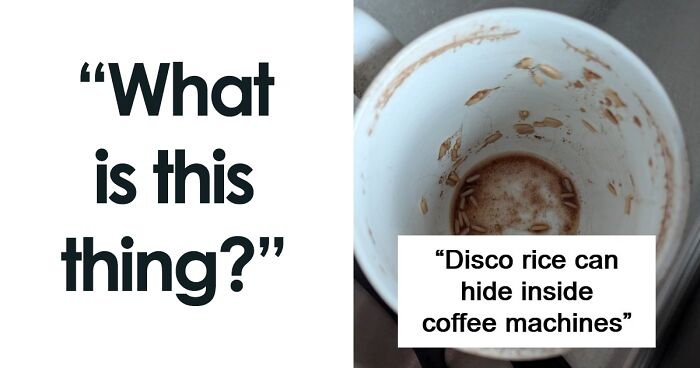 75 Strange Pics That People Just Had To Take As They Were Utterly Confused