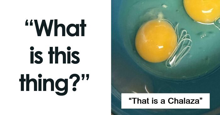 75 Strange Pics That People Just Had To Take As They Were Utterly Confused