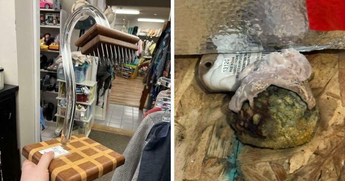 75 Strange Pics That People Just Had To Take As They Were Utterly Confused