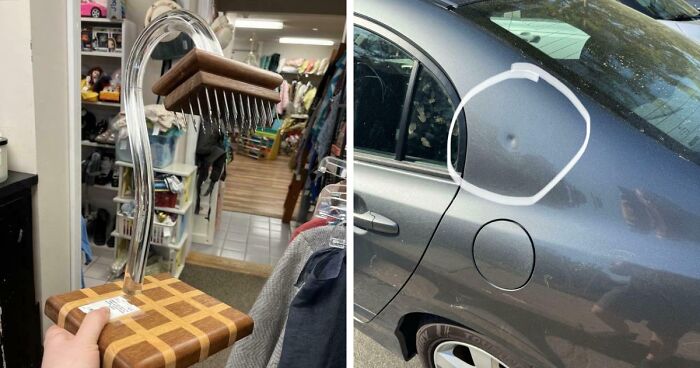 75 Strange Pics That People Just Had To Take As They Were Utterly Confused