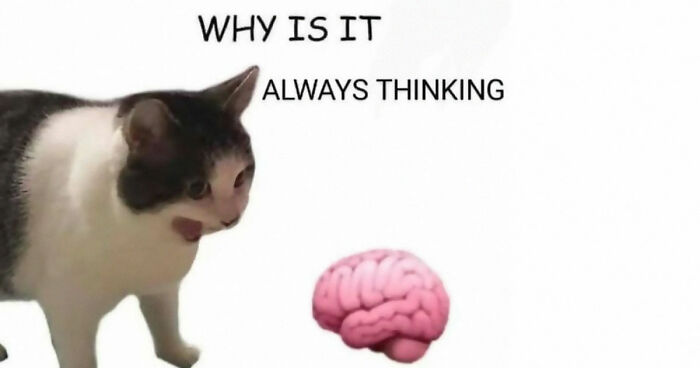 97 Memes That Might Either Cure Your Existential Crisis Or Make It Way Worse