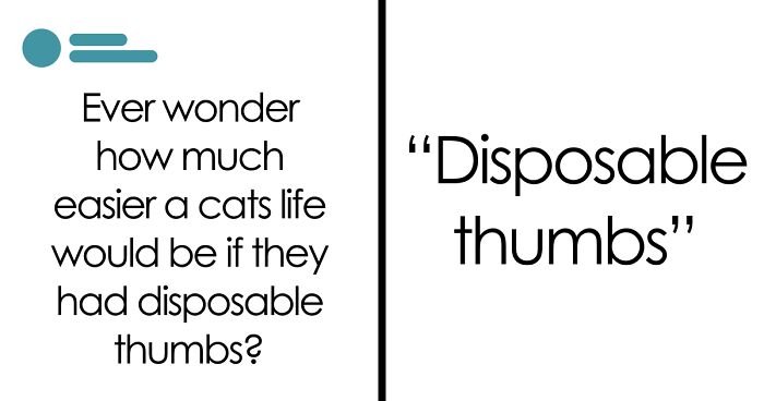 59 Times People Struggled With Words So Badly, They Cracked Others Up (New Pics)