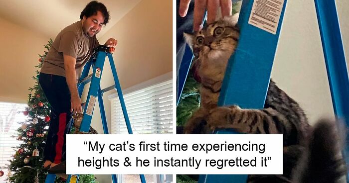 47 Funny Regret Moments That May Make You Feel Better About Your Own Bad Decisions