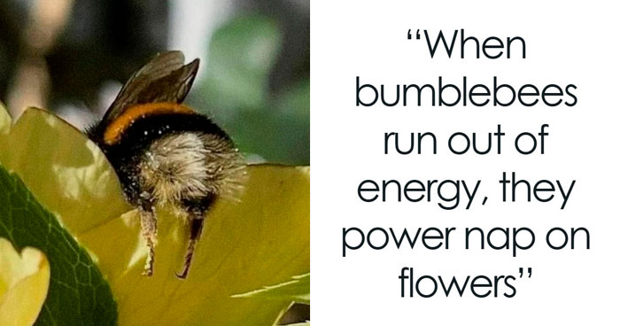 You Don’t Need To Like Science To Enjoy These 83 Memes And Interesting Posts (New Pics)