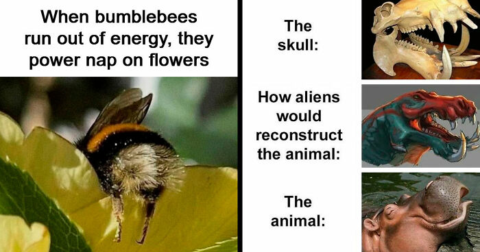 83 Hilarious Science Memes That React Faster Than Diet Coke And Mentos’ Reaction (New Pics)