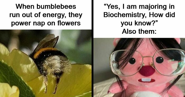 83 Hilarious Science Memes That React Faster Than Diet Coke And Mentos’ Reaction (New Pics)