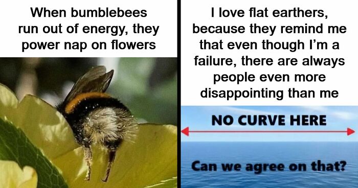 You Don’t Need To Like Science To Enjoy These 83 Memes And Interesting Posts (New Pics)